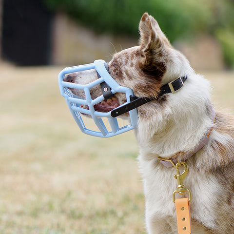 Size Neli Dog Muzzle - Made to order muzzle with colour customisation
