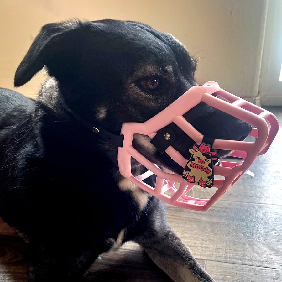 Snooties™ – Moody Cow Snootie Muzzle Charm