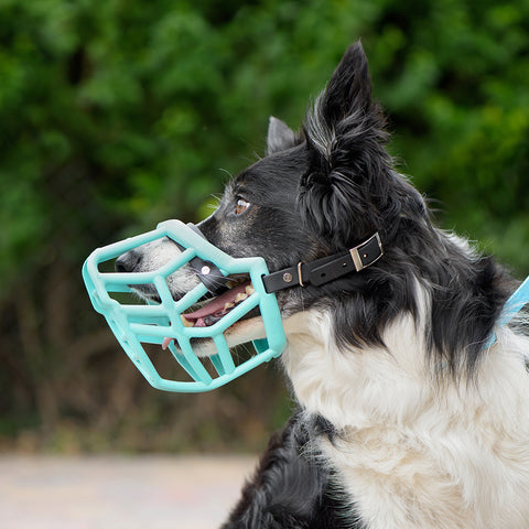 Size Neli Dog Muzzle - Made to order muzzle with colour customisation