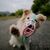 The Muzzle Movement Neli muzzle in pastel pink with Caribbean green biothane strapping  on a collie