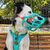 The Muzzle Movement Neli muzzle in teal with orange biothane strapping on a black and white collie