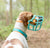 The Muzzle Movement Neli muzzle on a pointer in teal with peach biothane strapping