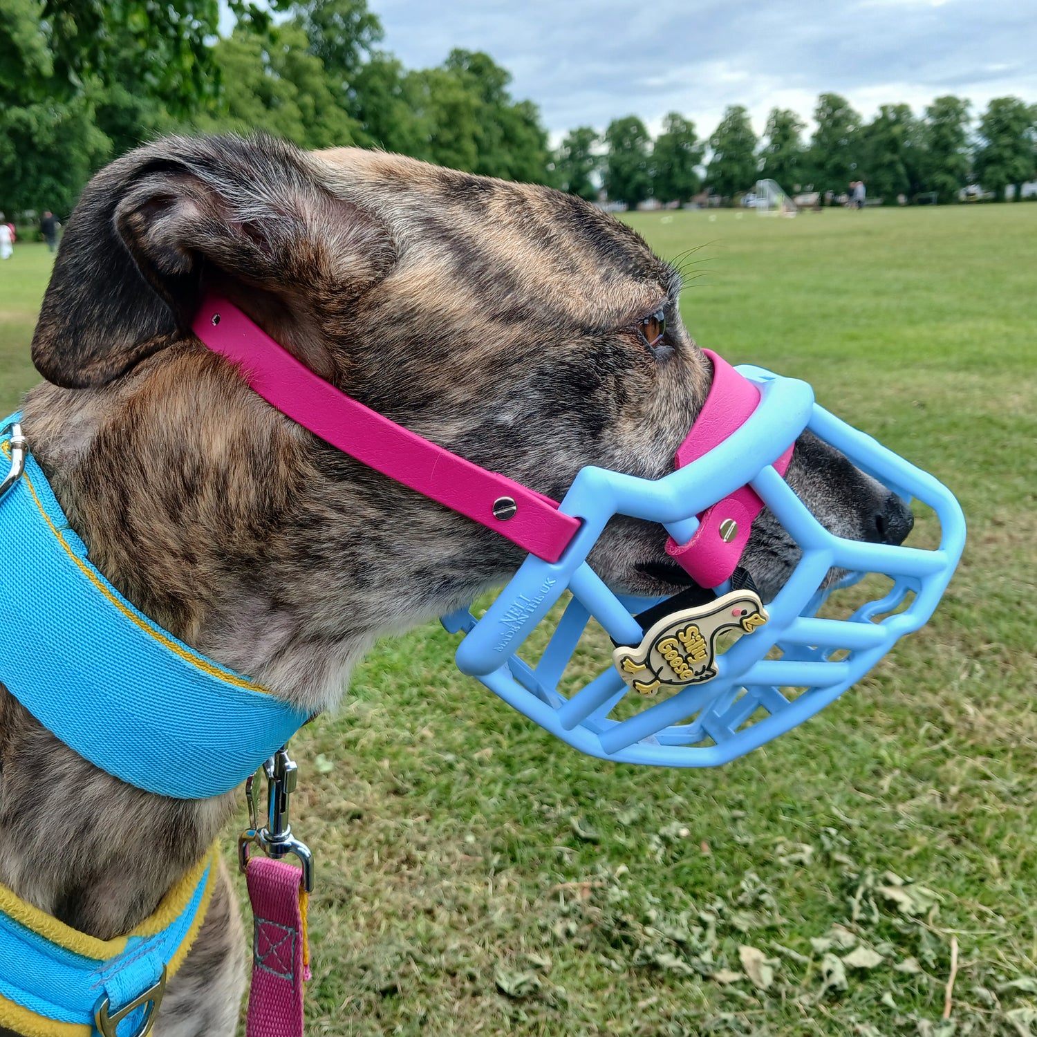 Snooties™ –  Silly Goose Snootie Muzzle Charm