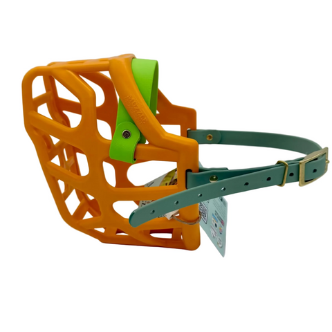 The Muzzle Movement Orange Taz dog muzzle with apple green noseband and sage green straps with nickle hardware on a white background