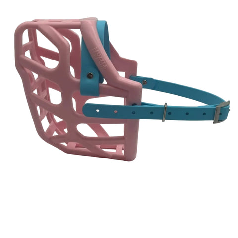 The Muzzle Movement Pastel Pin Taz dog muzzle with skyan blue straps and nickle hardware on a white background