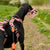 Size Rex Dog Muzzle - Made to order muzzle with colour customisation