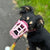 Size Rex Dog Muzzle - Made to order muzzle with colour customisation