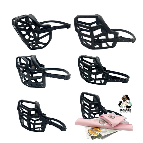 Canine Professional Size Bundle for Trade