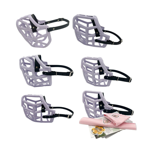 Canine Professional Size Bundle