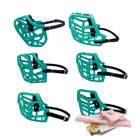 Canine Professional Size Bundle