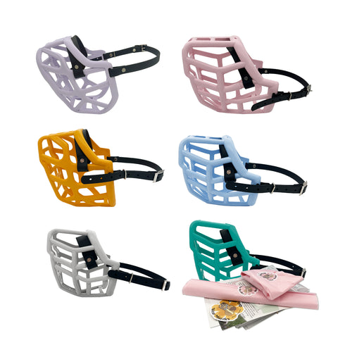Canine Professional Size (Multi Coloured Baskets)