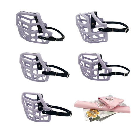 Ensemble MINI Canine taille professionnelle