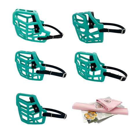 Ensemble MINI Canine taille professionnelle