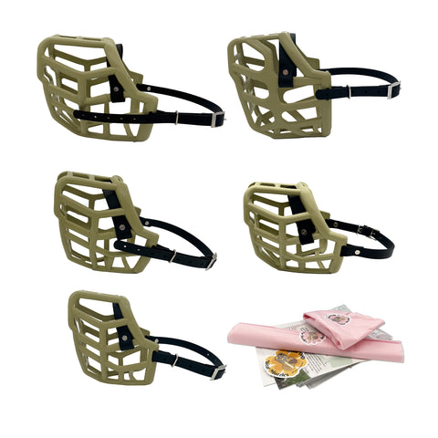 Ensemble MINI Canine taille professionnelle