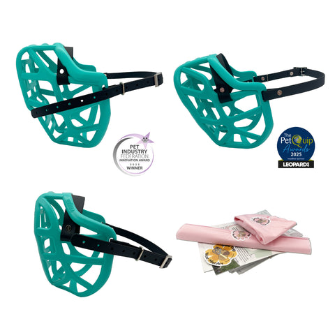 Ensemble MINI Canine taille professionnelle