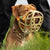 The Muzzle Movement Size Harry Dog Muzzle 2.0 for Trade