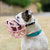 The Muzzle Movement Size Harry Dog Muzzle 2.0 for Trade