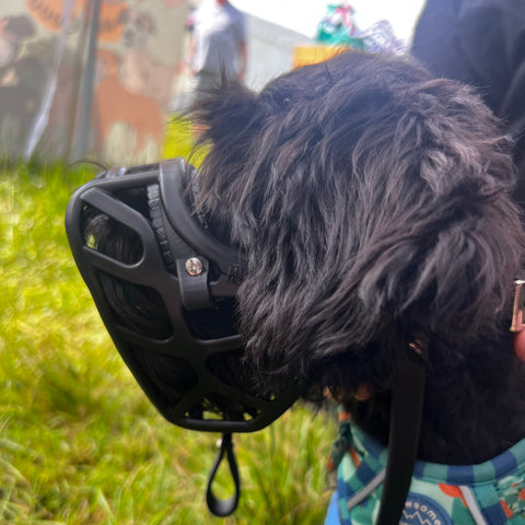 PRE ORDER Size Mia Dog Muzzle - Made to order muzzle with colour customisation (shipping September 2026)