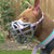 The Muzzle Movement Size Pippa Dog Muzzle for Trade Pre Order - SHIPPING DUE TO START FROM THE 8TH DECEMBER 2025