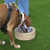 The Muzzle Movement Size Pippa Dog Muzzle for Trade Pre Order - SHIPPING DUE TO START FROM THE 8TH DECEMBER 2025