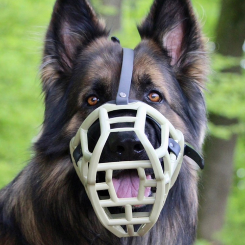 Size Sunny Dog Muzzle- Made to order muzzle with colour customisation