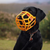 Size Sunny Dog Muzzle- Made to order muzzle with colour customisation