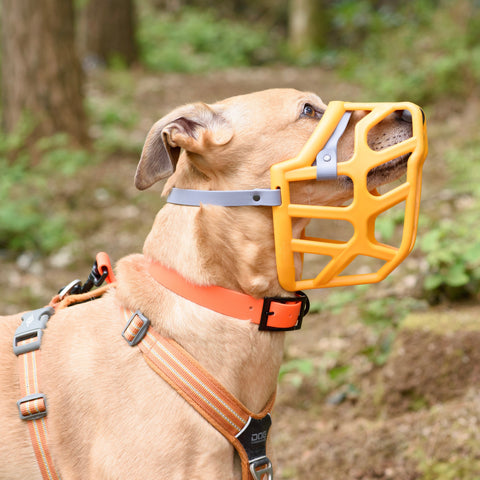Size Taz Dog Muzzle - Made to order muzzle with colour customisation