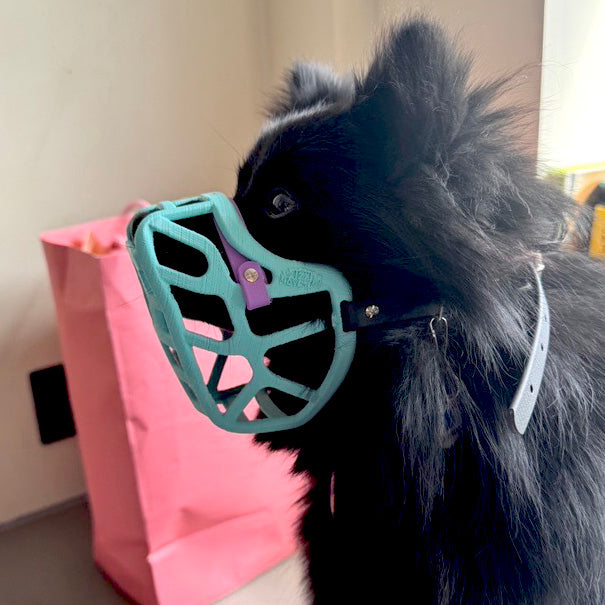 PRE ORDER Teal Size Mia Dog Muzzle - Made to order muzzle with colour customisation (shipping September 2026) cl