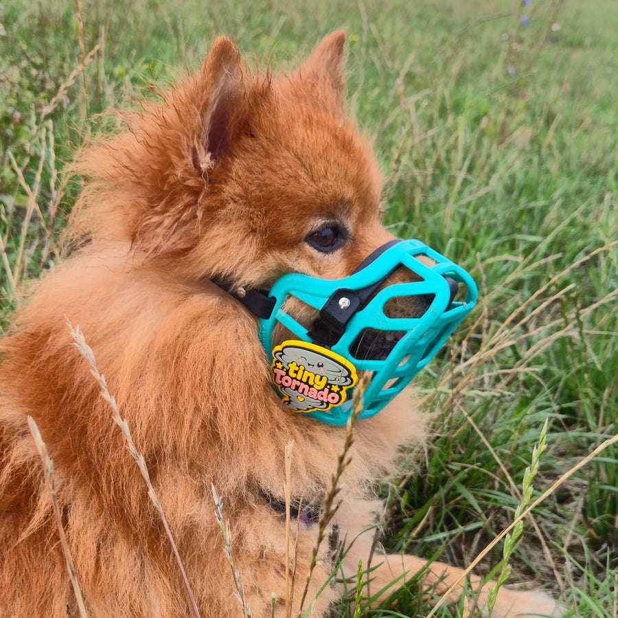 Snooties™ – Tiny Tornado Snootie Muzzle Charm