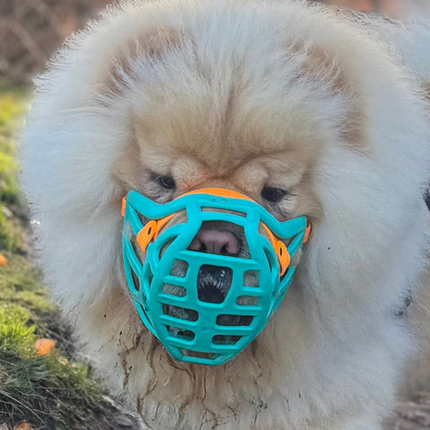 The Muzzle Movement Size Pippa Dog Muzzle for Trade Pre Order - SHIPPING DUE TO START FROM THE 8TH DECEMBER 2025