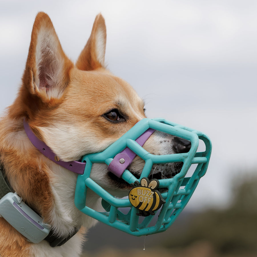 Snooties™ –  Buzz Off Snootie Muzzle Charm