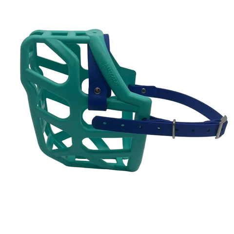 The Muzzle Movement Teal Taz dog muzzle with dark blue straps and nickle hardware on a white background