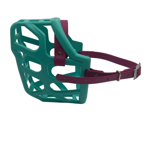 The Muzzle Movement Teal Taz dog muzzle with magenta straps and nickle hardware on a white background