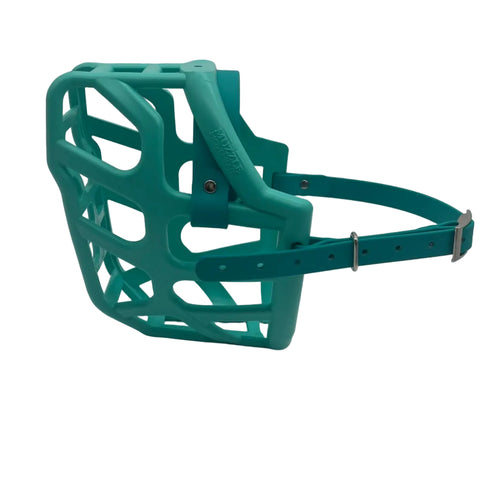 The Muzzle Movement Teal Taz dog muzzle with teal straps and nickle hardware on a white background