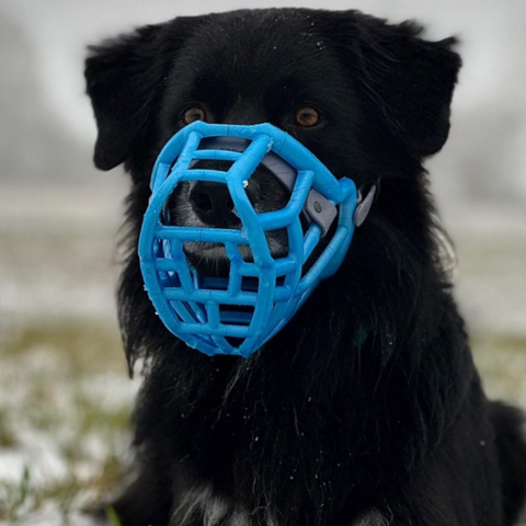 Size Tolly Dog Muzzle - Made to order muzzle with colour customisation