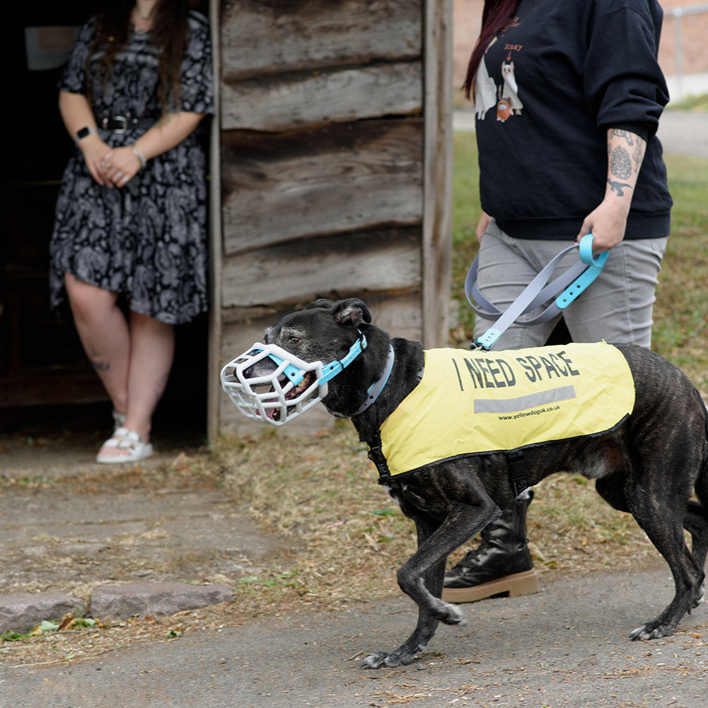 Dog wearing a yellow jacket with 'I NEED SPACE' text on a leash, standing on a path with a person and a woman in the background.