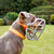 Size Mitzy Dog Muzzle - Made to order muzzle with colour customisation
