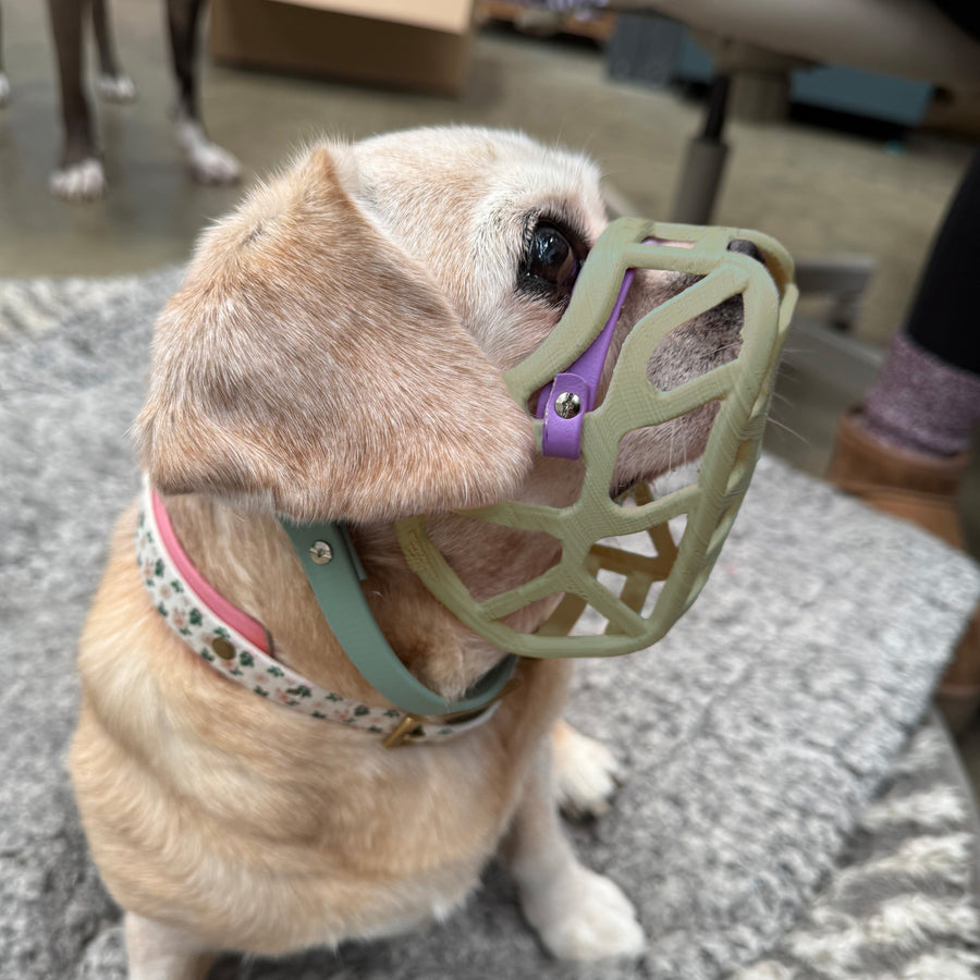 PRE ORDER Khaki Green Size Mia Dog Muzzle - Made to order muzzle with colour customisation (shipping September 2026) cl