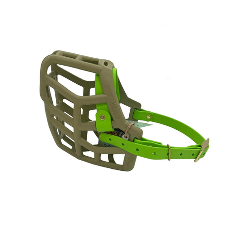 the muzzle movement khaki green rex dog muzzle with apple green straps and brass hardware on a white background