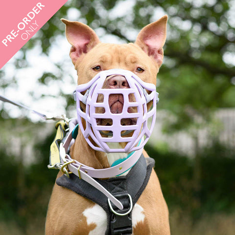The Muzzle Movement Size Pippa Dog Muzzle for Trade Pre Order - SHIPPING DUE TO START FROM THE 8TH DECEMBER 2025
