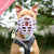 The Muzzle Movement Size Pippa Dog Muzzle for Trade Pre Order - SHIPPING DUE TO START FROM THE 8TH DECEMBER 2025