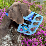 Pointer dog wearing a light blue The Muzzle Movement dog muzzle with a dark blue strapping, standing outdoors in a field of pink flowers. A snootie charm on the muzzle reads 'Give Me Space'.