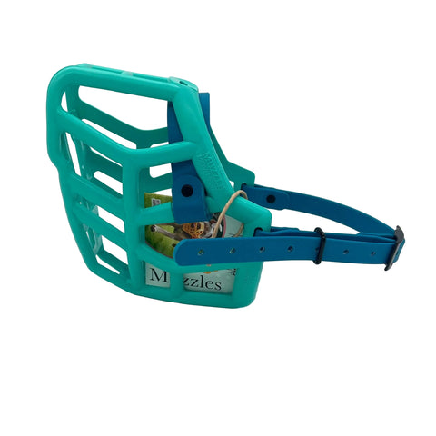 The Muzzle Movement teal rex dog muzzle with lagune strpas and black hardware on a white background