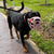 The Muzzle Movement Size Mitzy Dog Muzzle for Trade