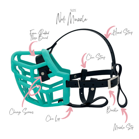 The Muzzle neli in teal with black strapping