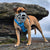 Size Harry 2.0 Dog Muzzle - Made to order muzzle with colour customisation
