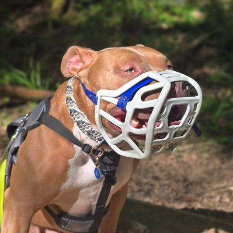 The Muzzle Movement Size Harry Dog Muzzle 2.0 for Trade