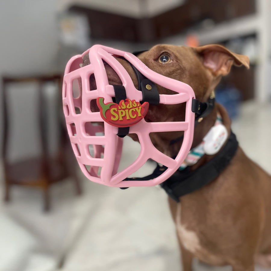 Snooties™ – Spicy Snootie Muzzle Charm