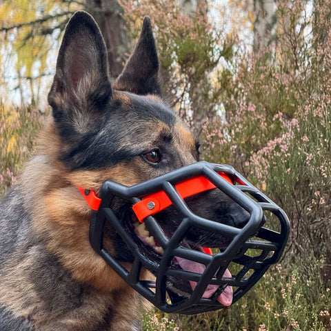 Sunny Black Muzzle – Limited Edition Recycled - Ready to Ship