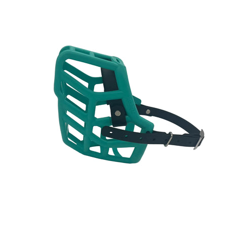the muzzle movement teal rex dog muzzle with black strapping and nickel chicago screws 